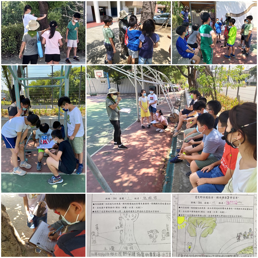 生態城市樹木調查
