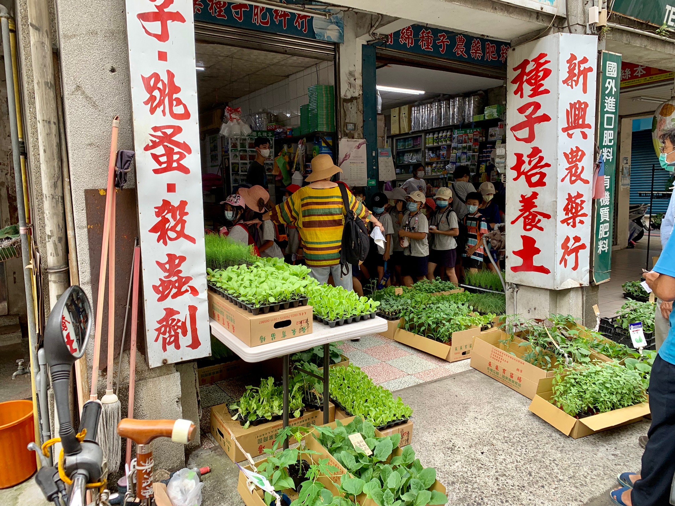 餐桌上的旅行--菜市場種子菜苗店