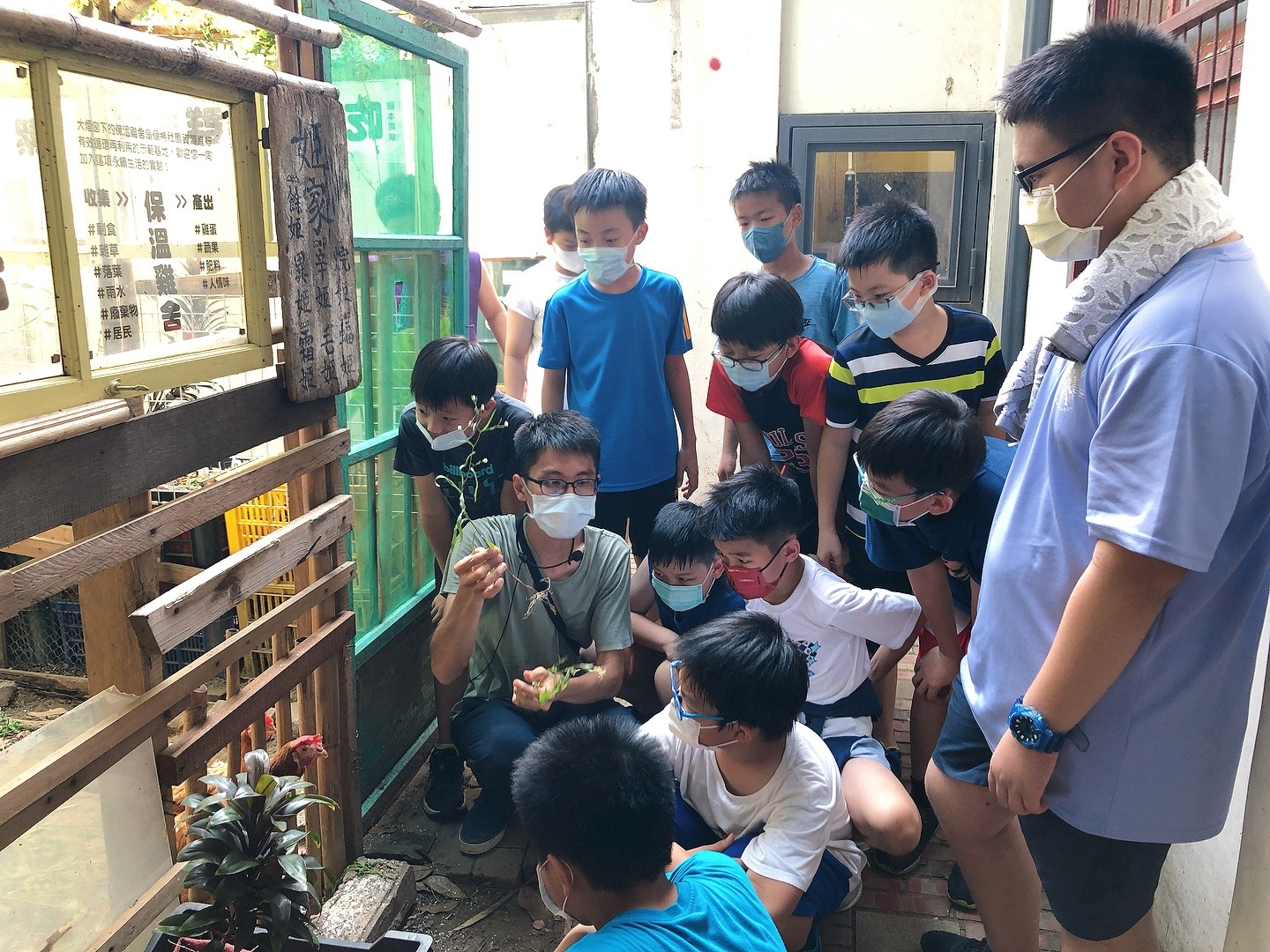 雞隻飼養的起心動念