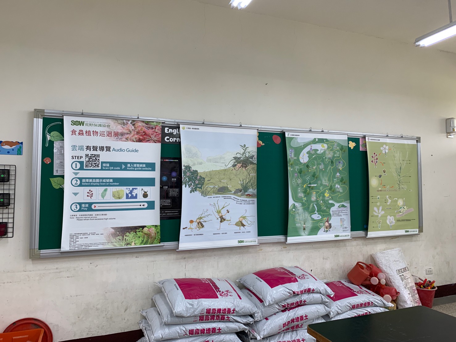 食蟲植物展到龍山