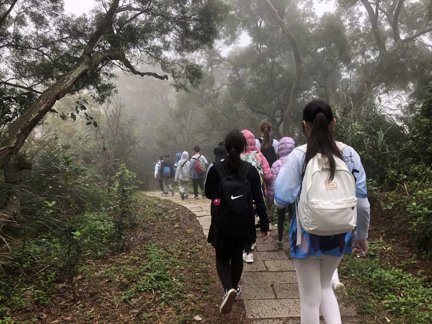 飛鳳山課程509登山照