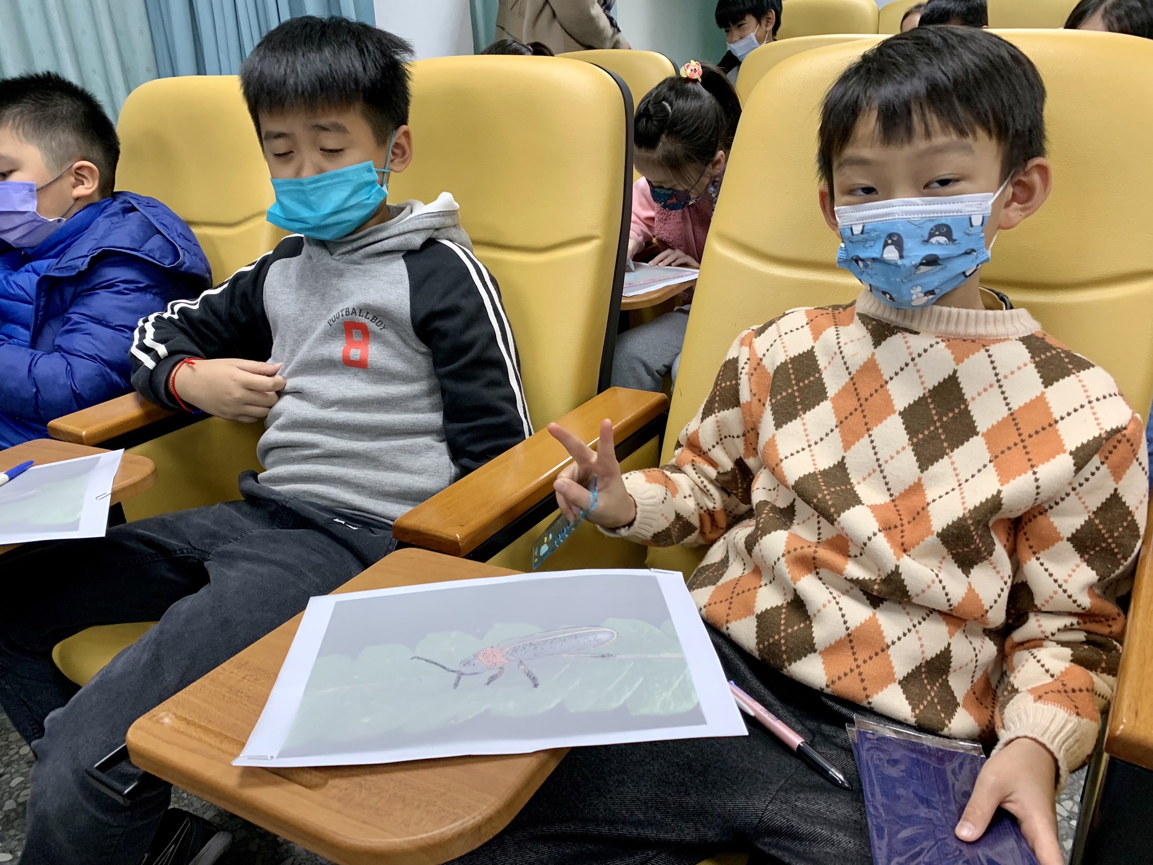 科學繪圖作品