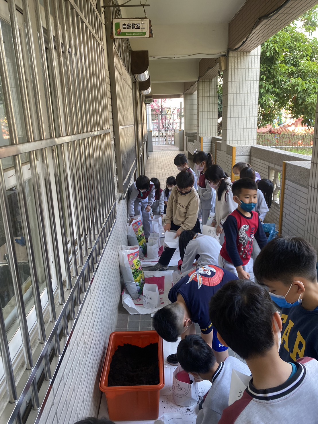 播種育苗