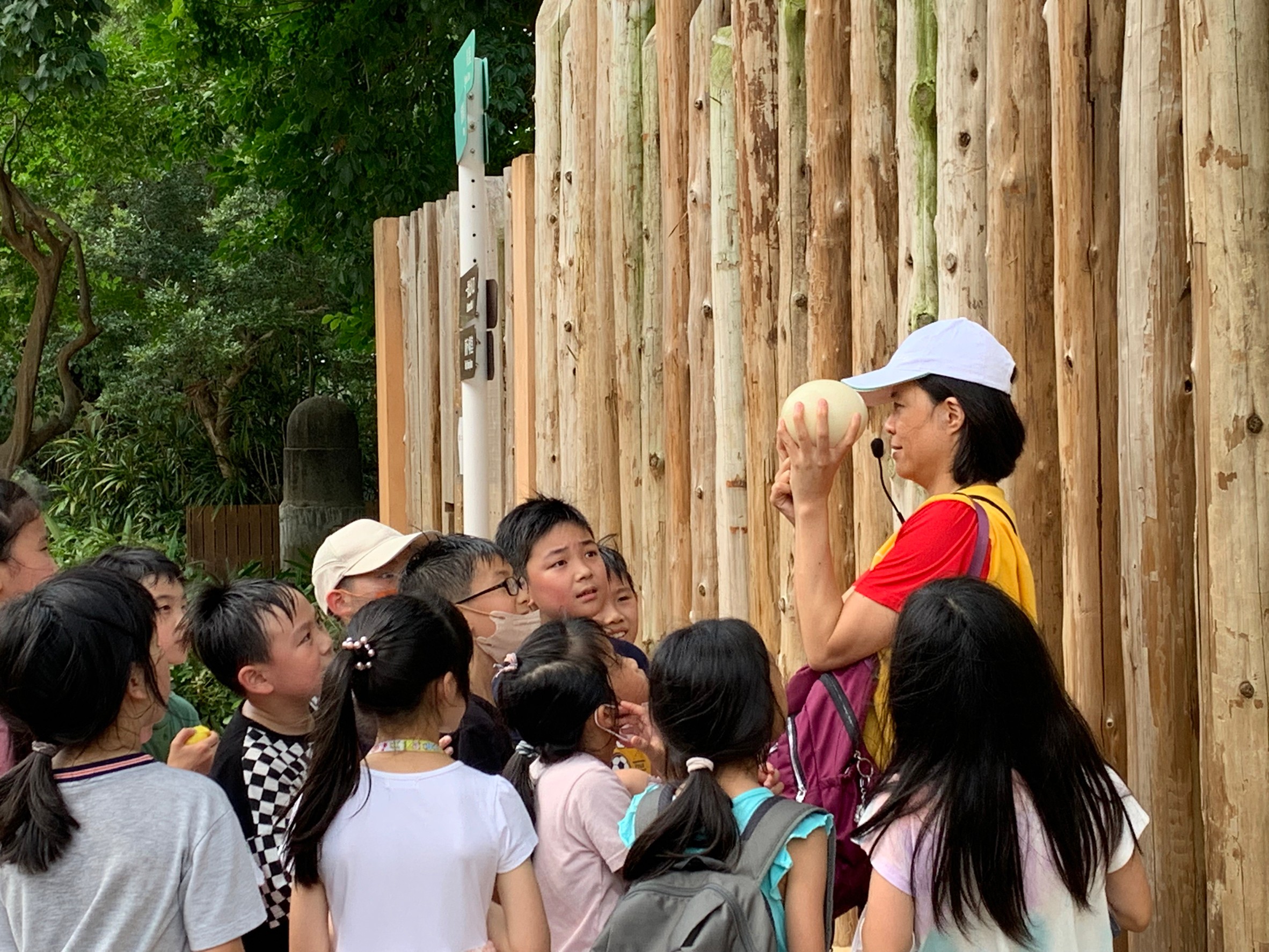 新竹動物園-鴕鳥蛋