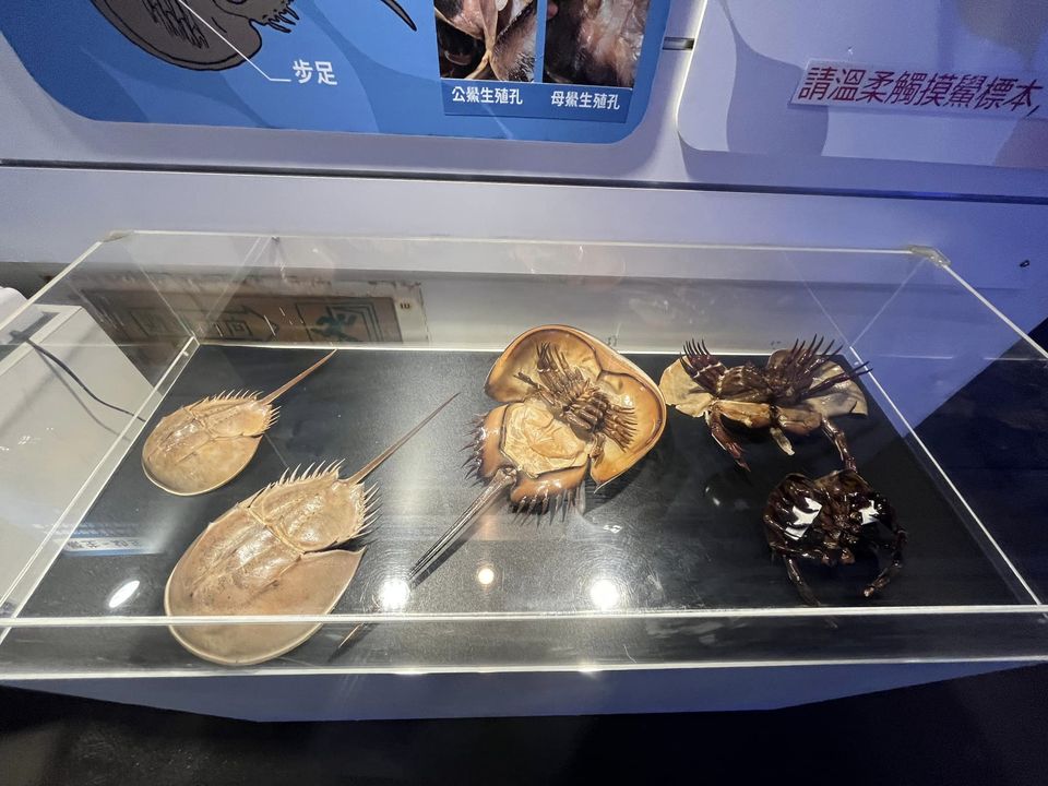 潮境智能館參訪