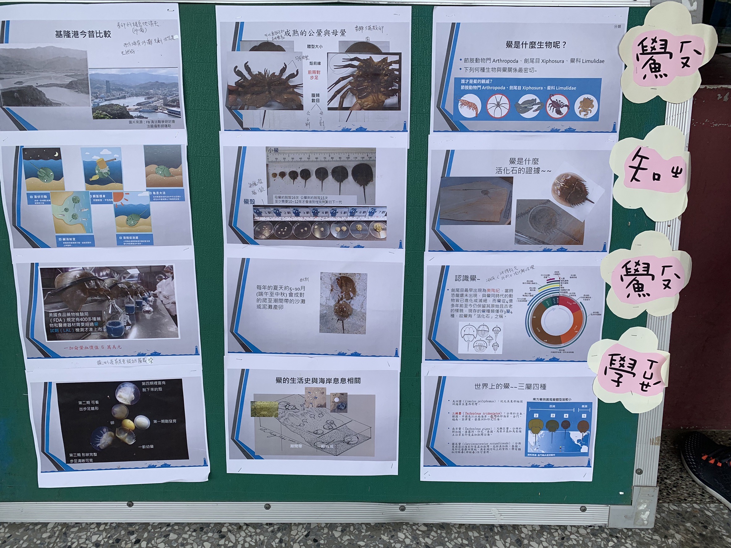 鱟知鱟學成果