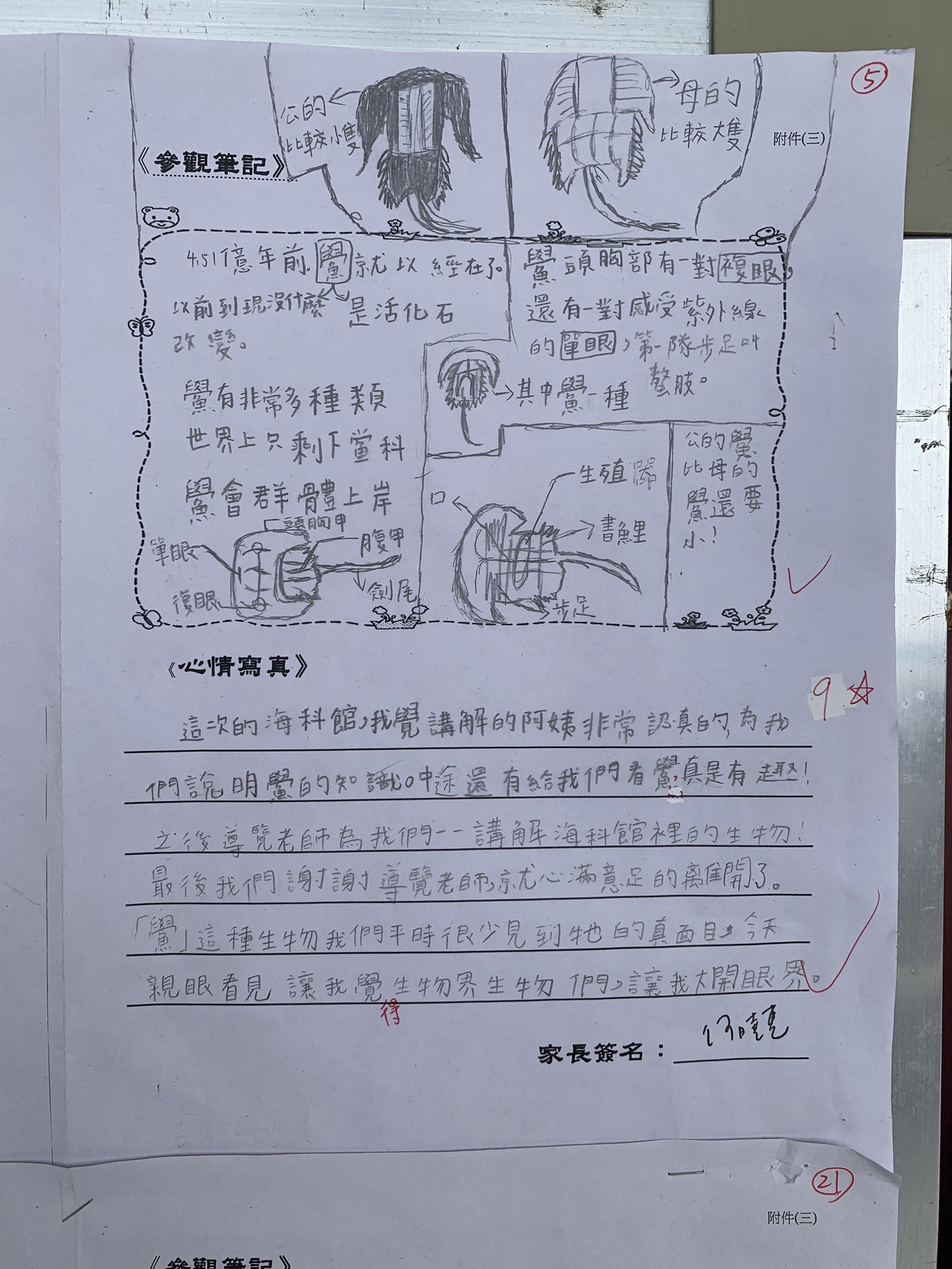 鱟知鱟學成果