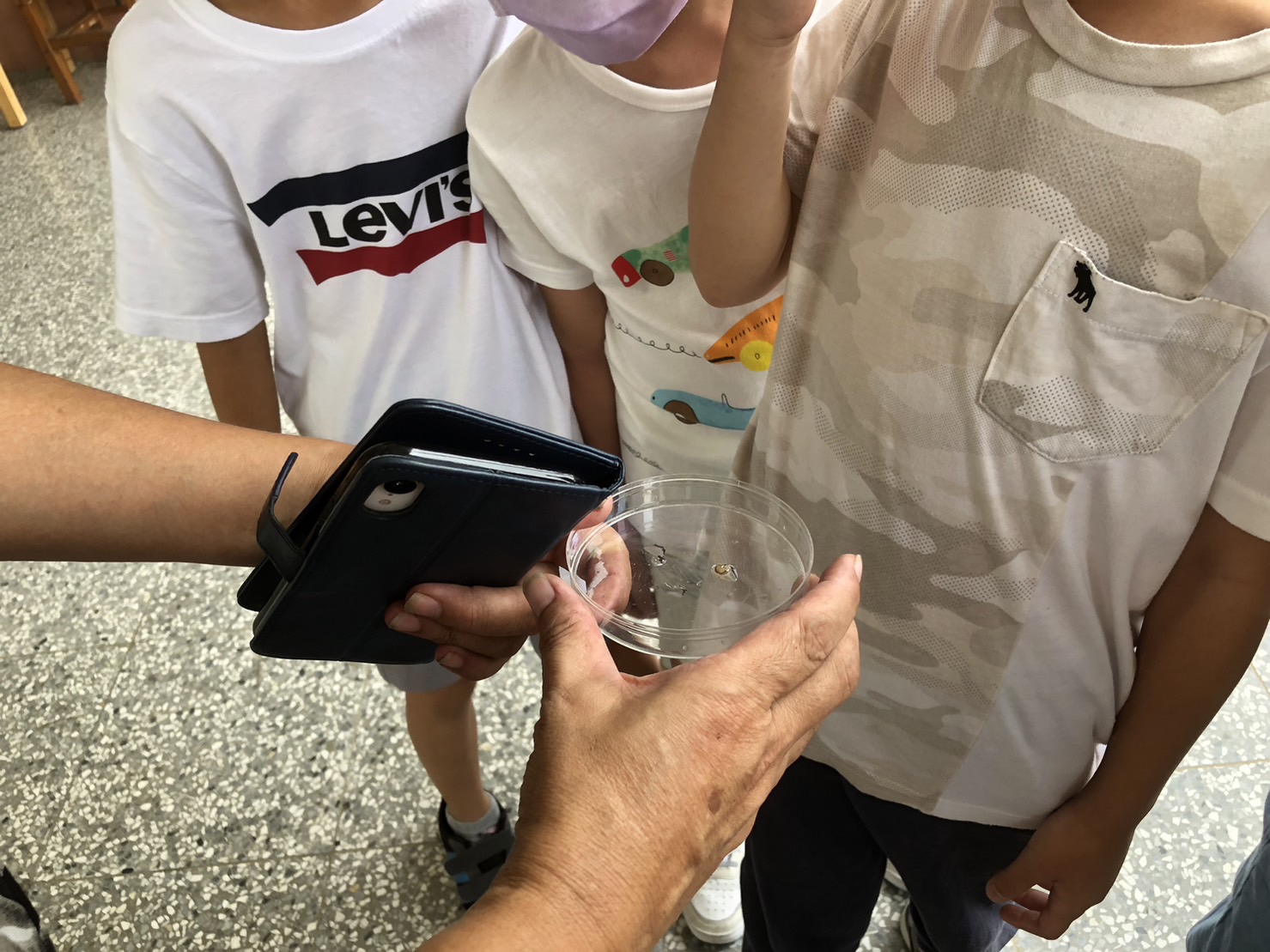 鱟知鱟學成果