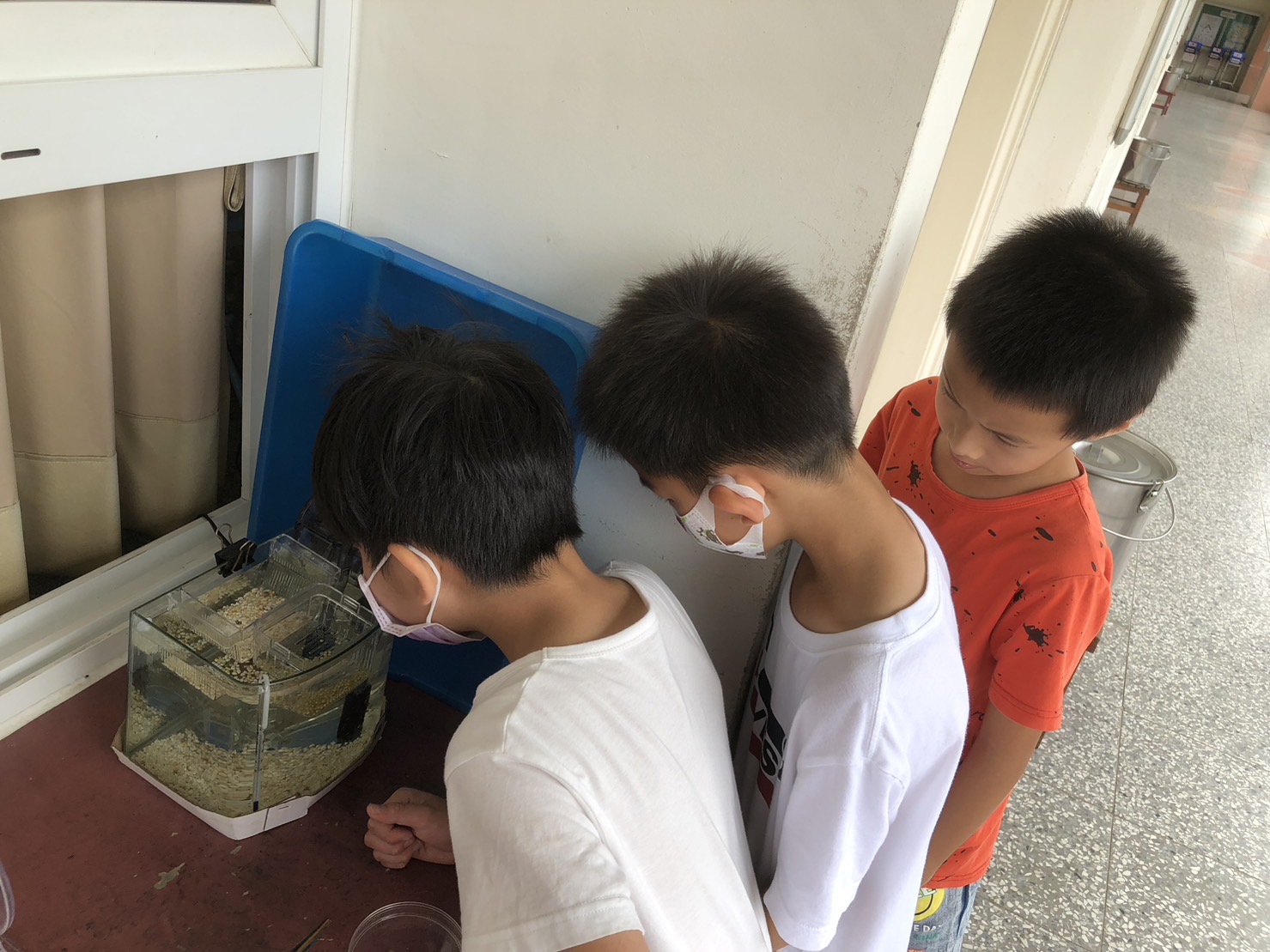 鱟知鱟學成果