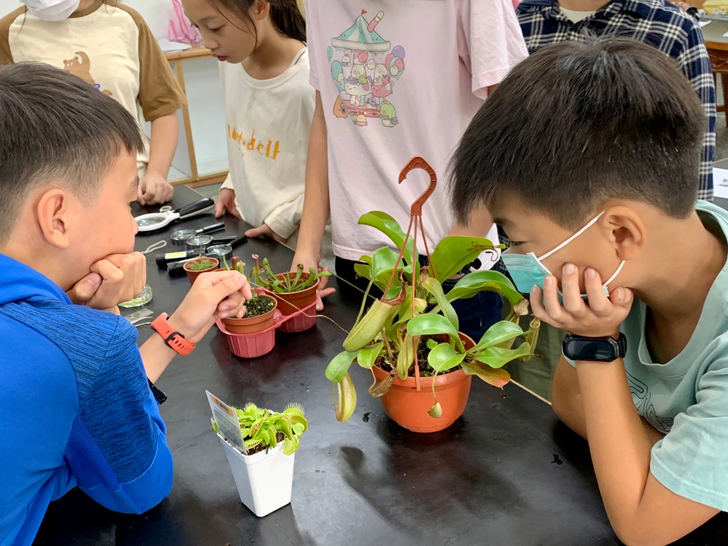 食蟲植物展