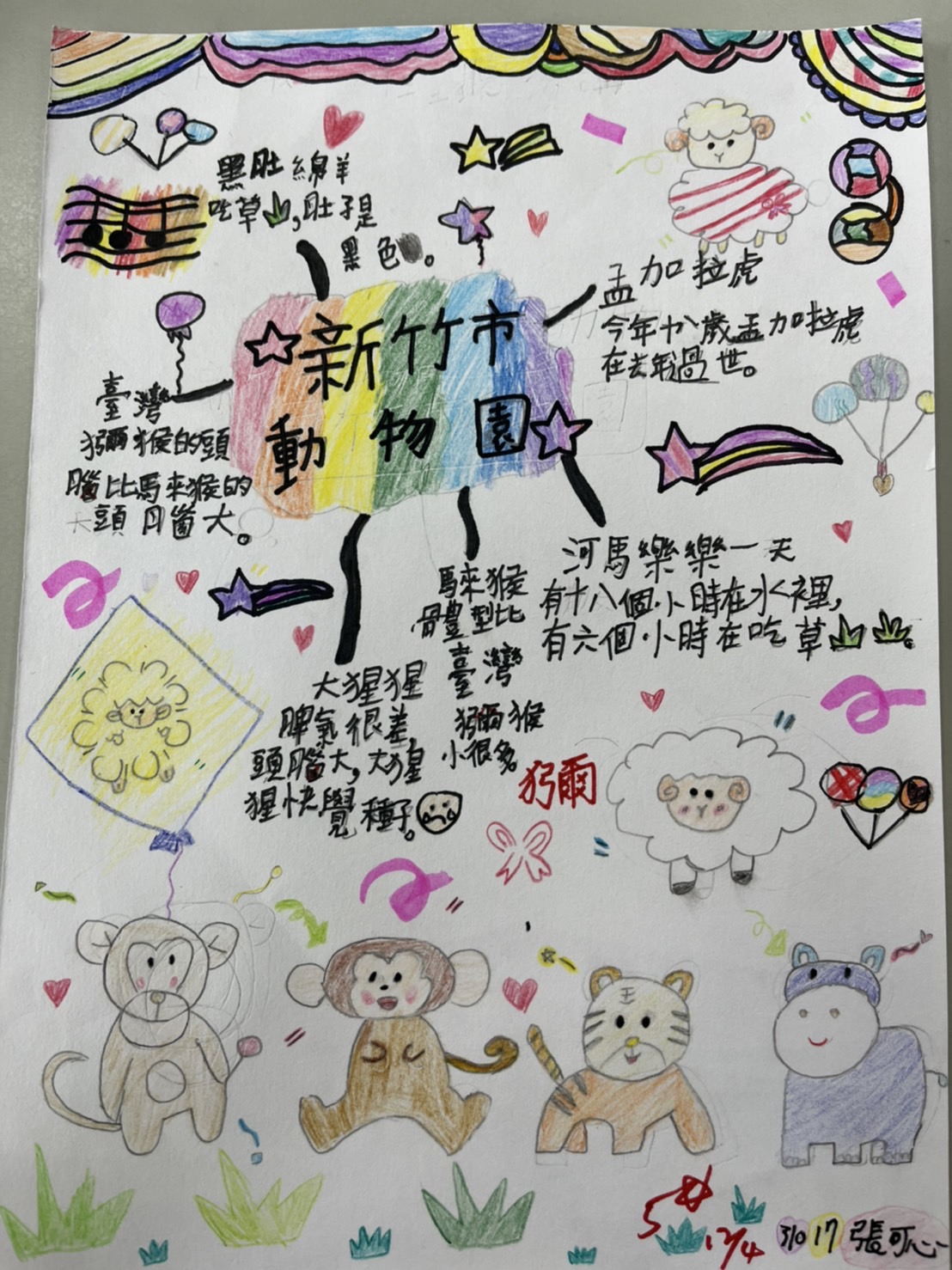 野生動物講座學生作品