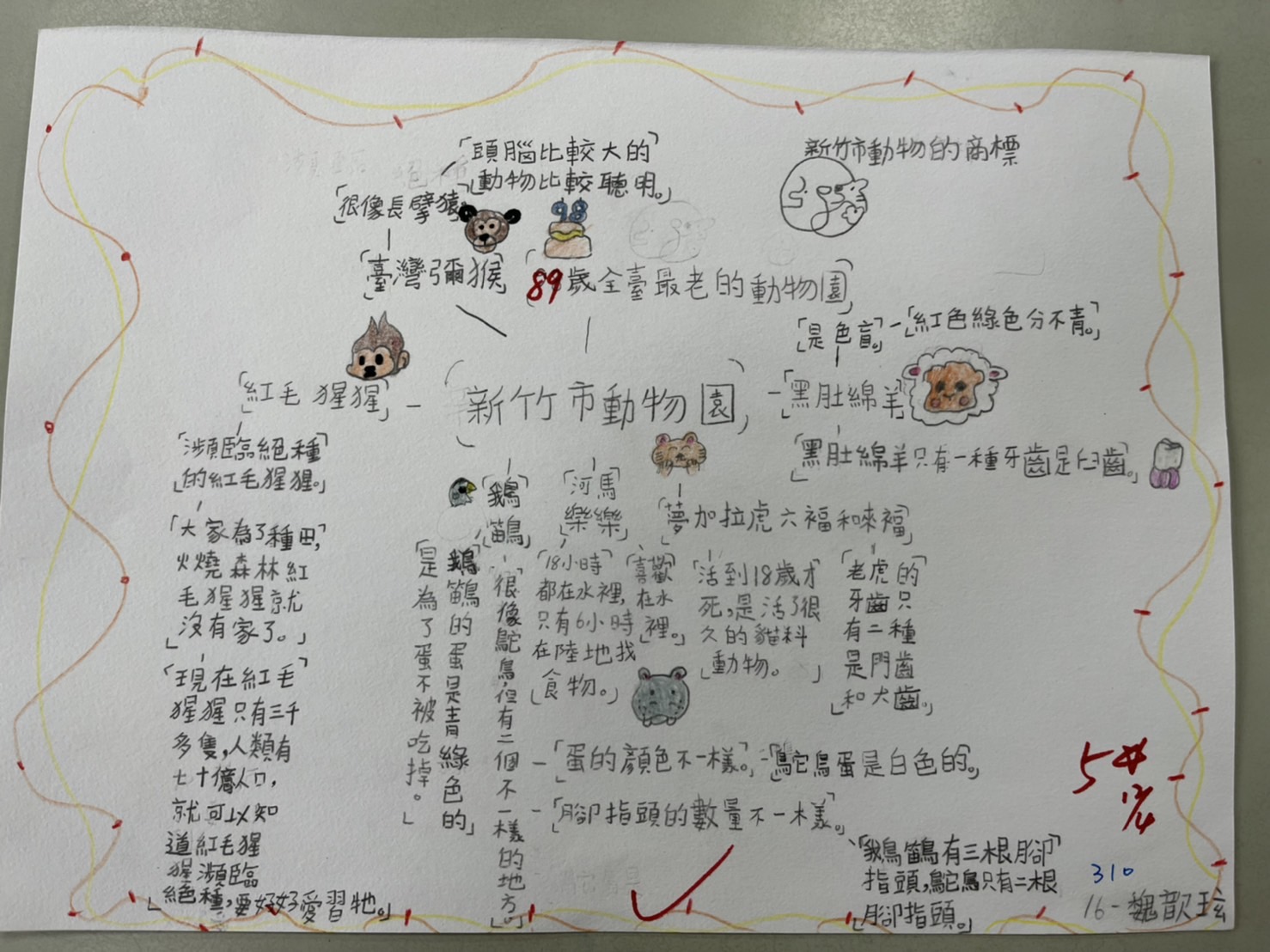野生動物講座學生作品