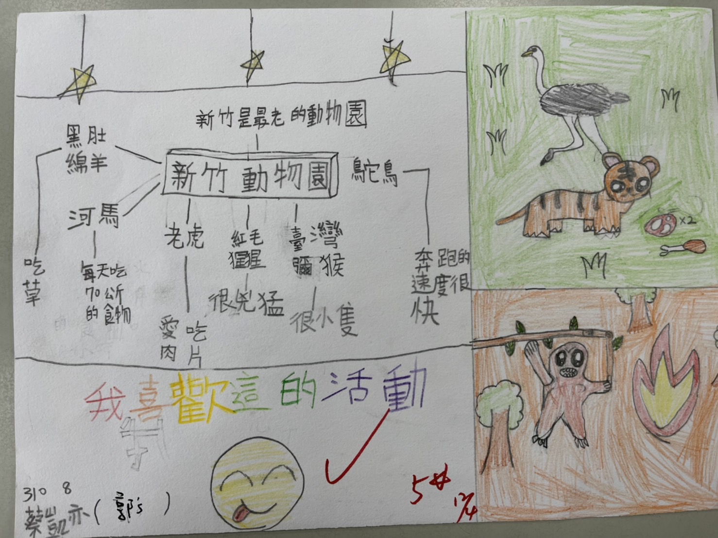 野生動物講座學生作品