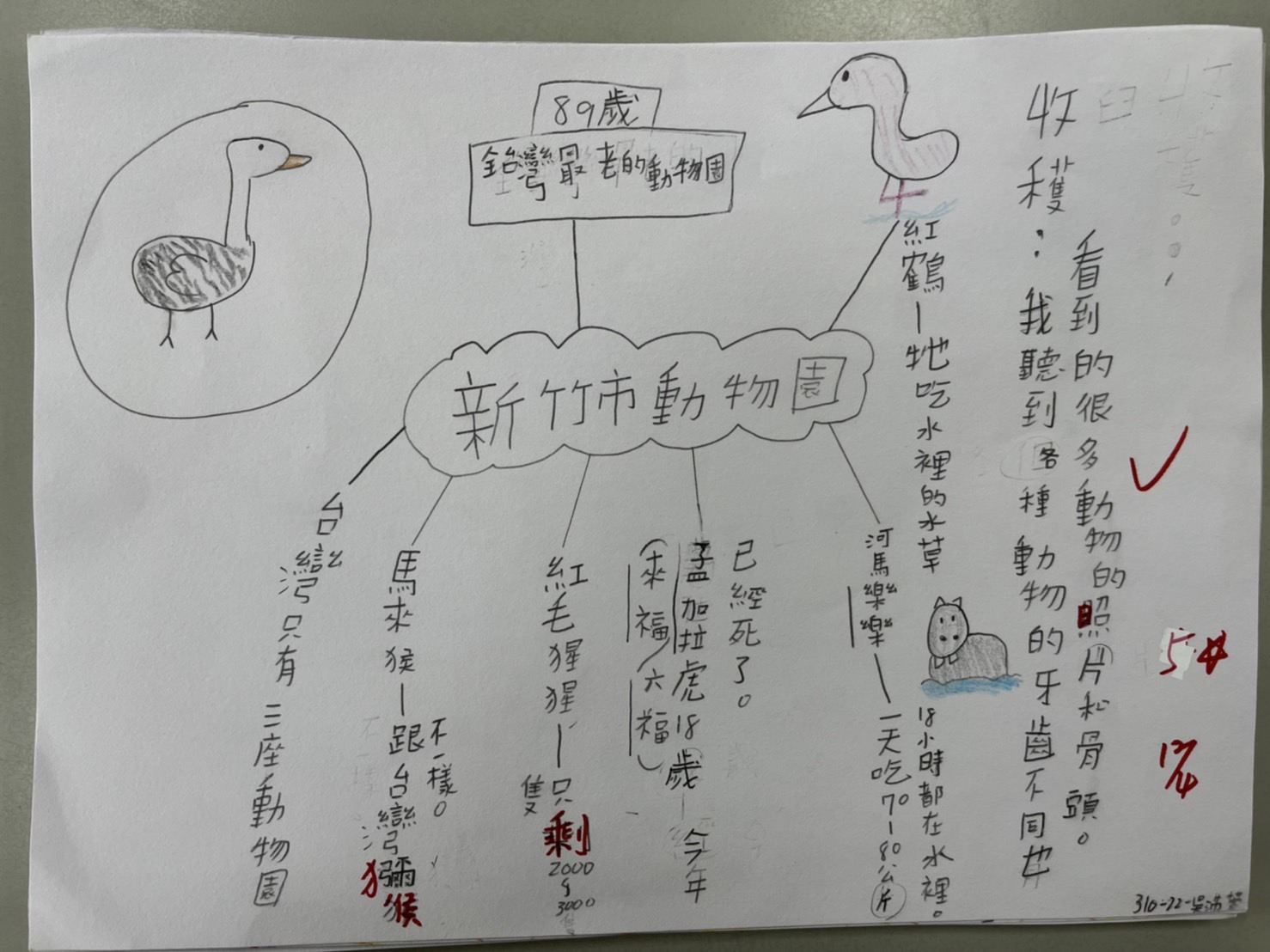 野生動物講座學生作品