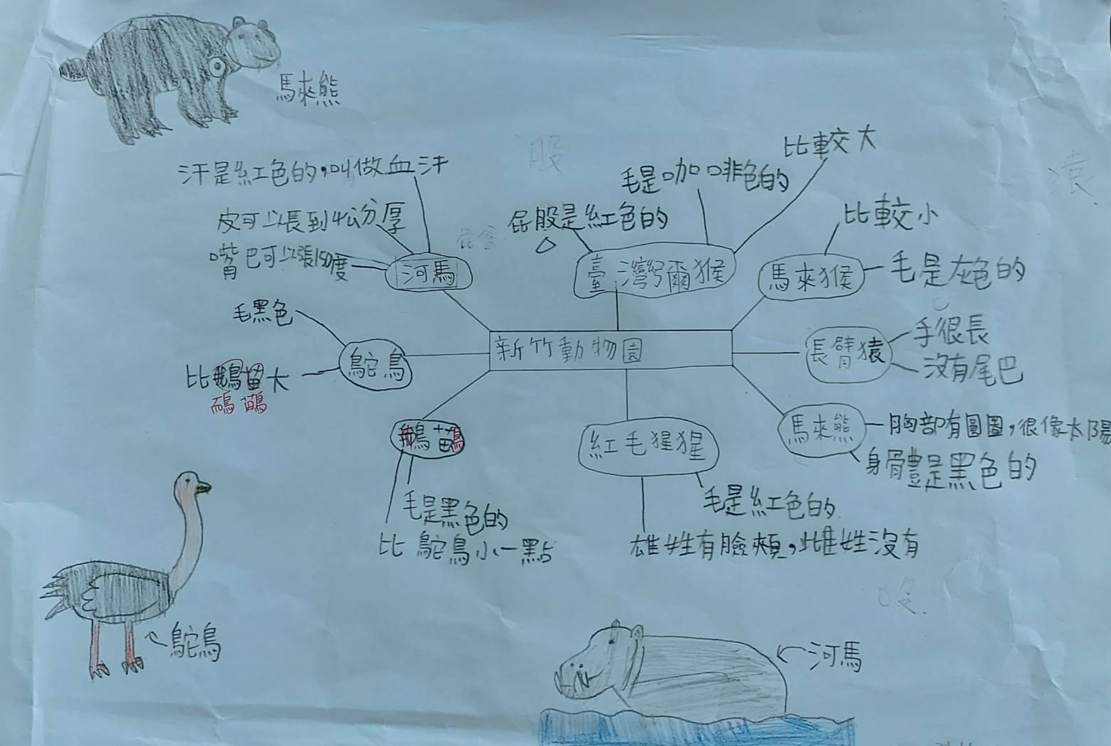 參訪作品