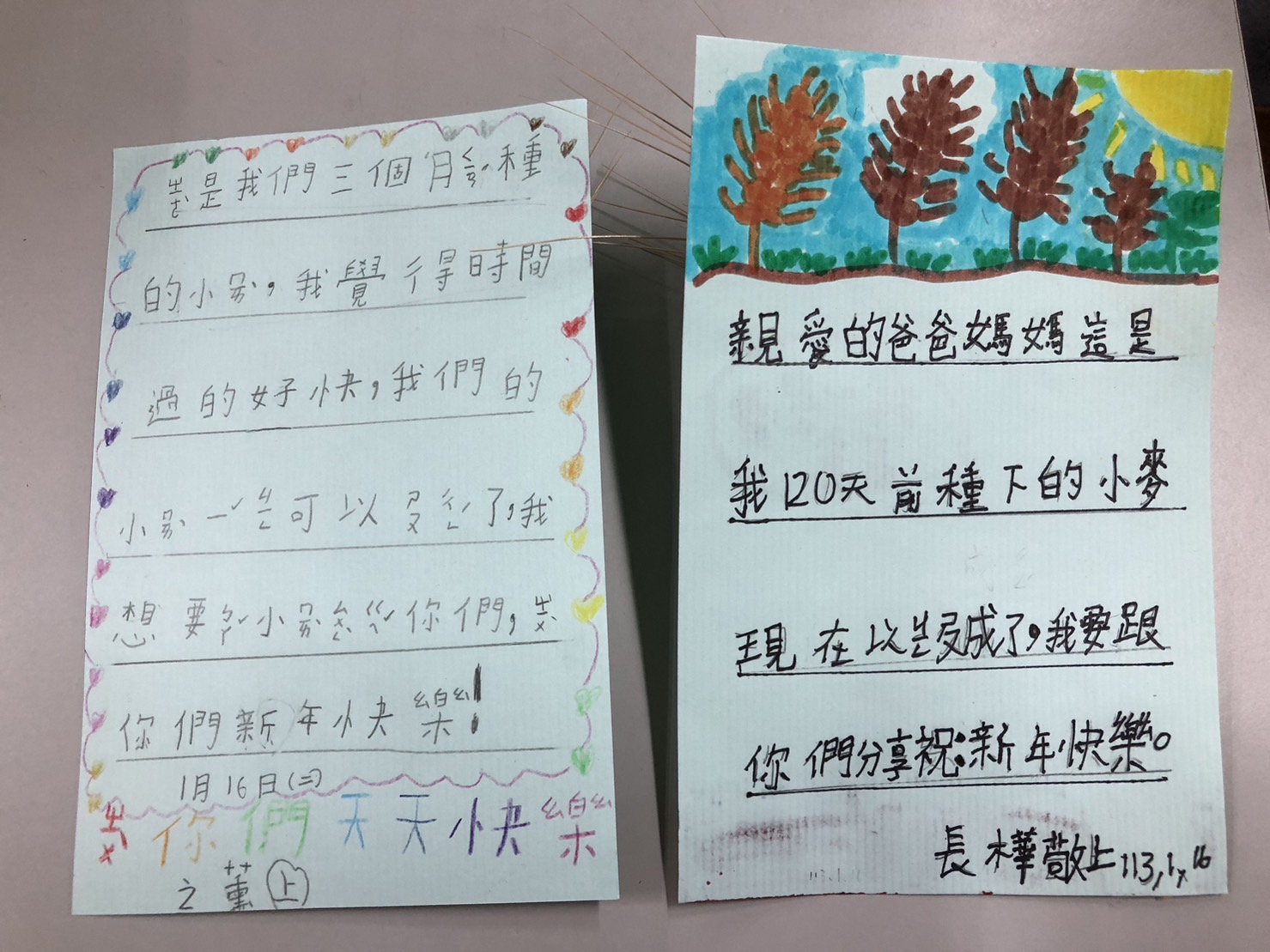 小麥