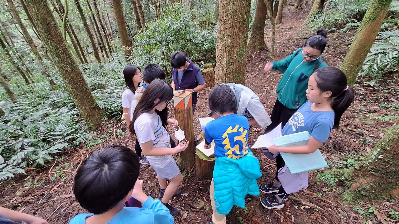 東眼山定向運動