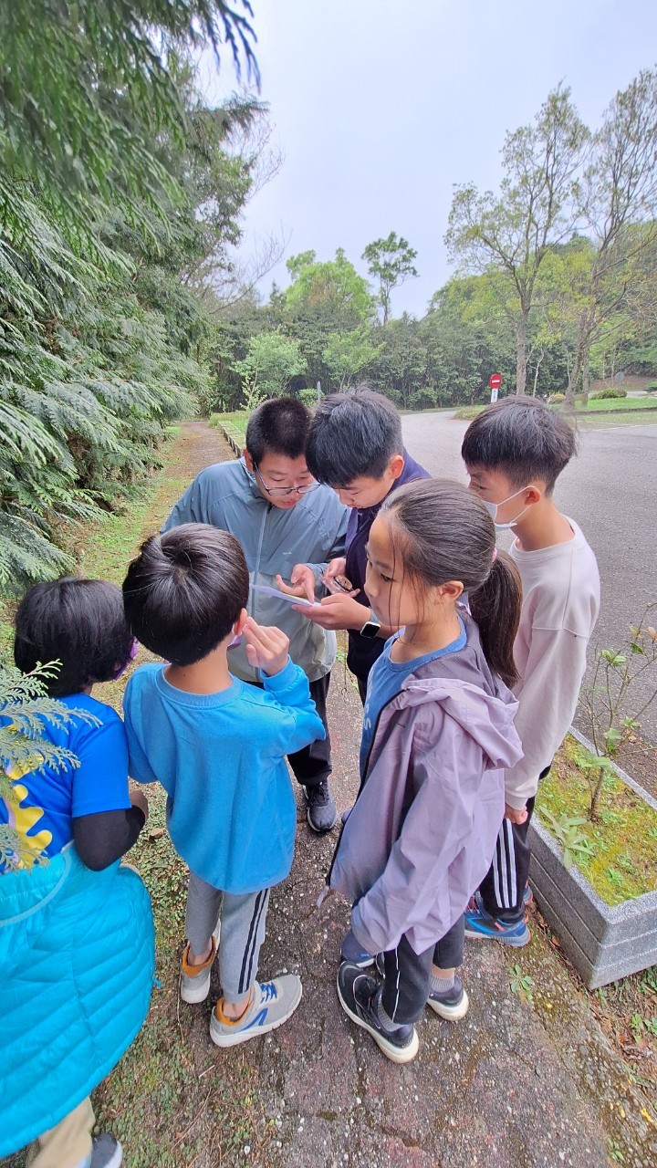東眼山定向運動