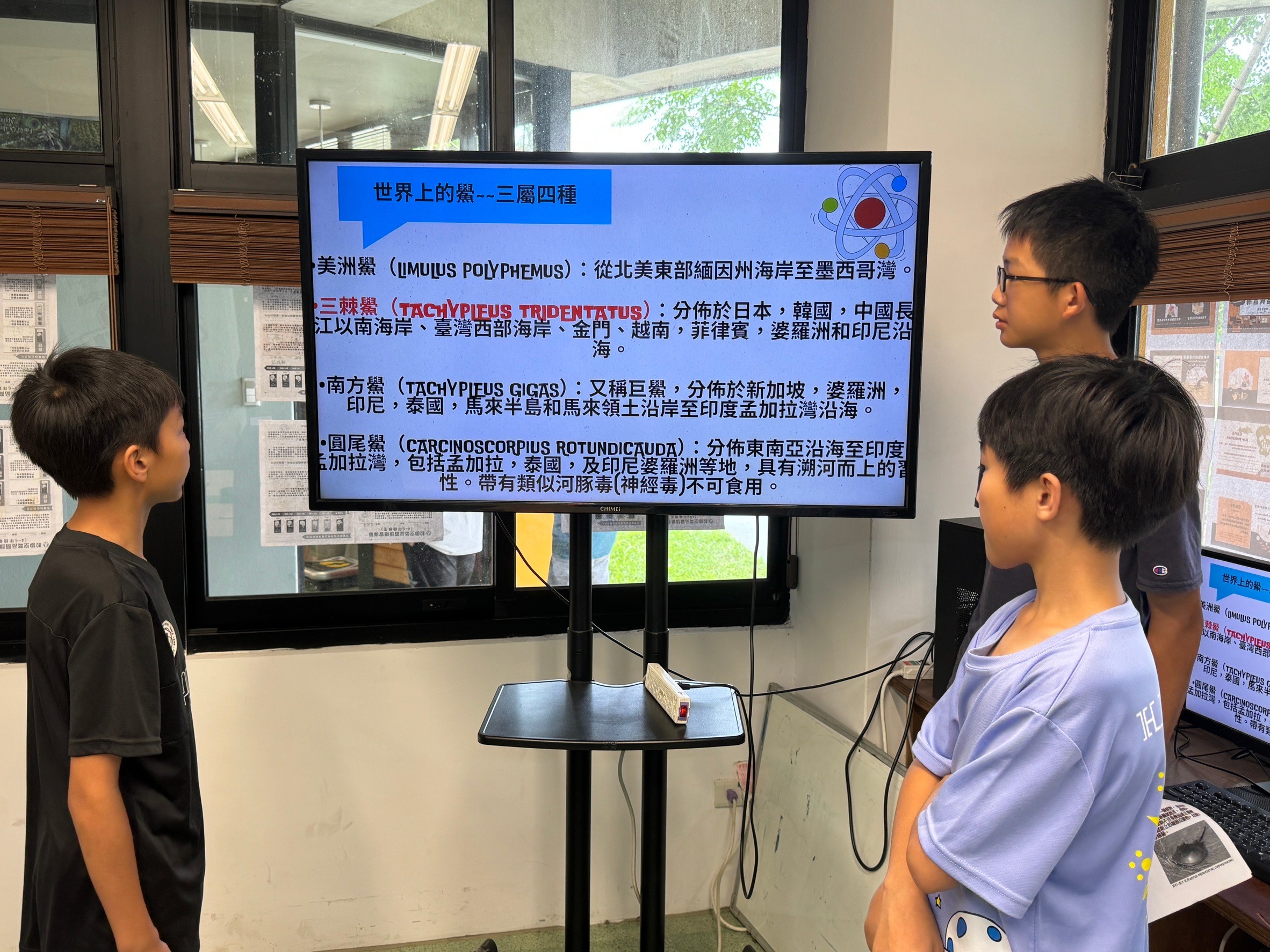 送小鱟回大海