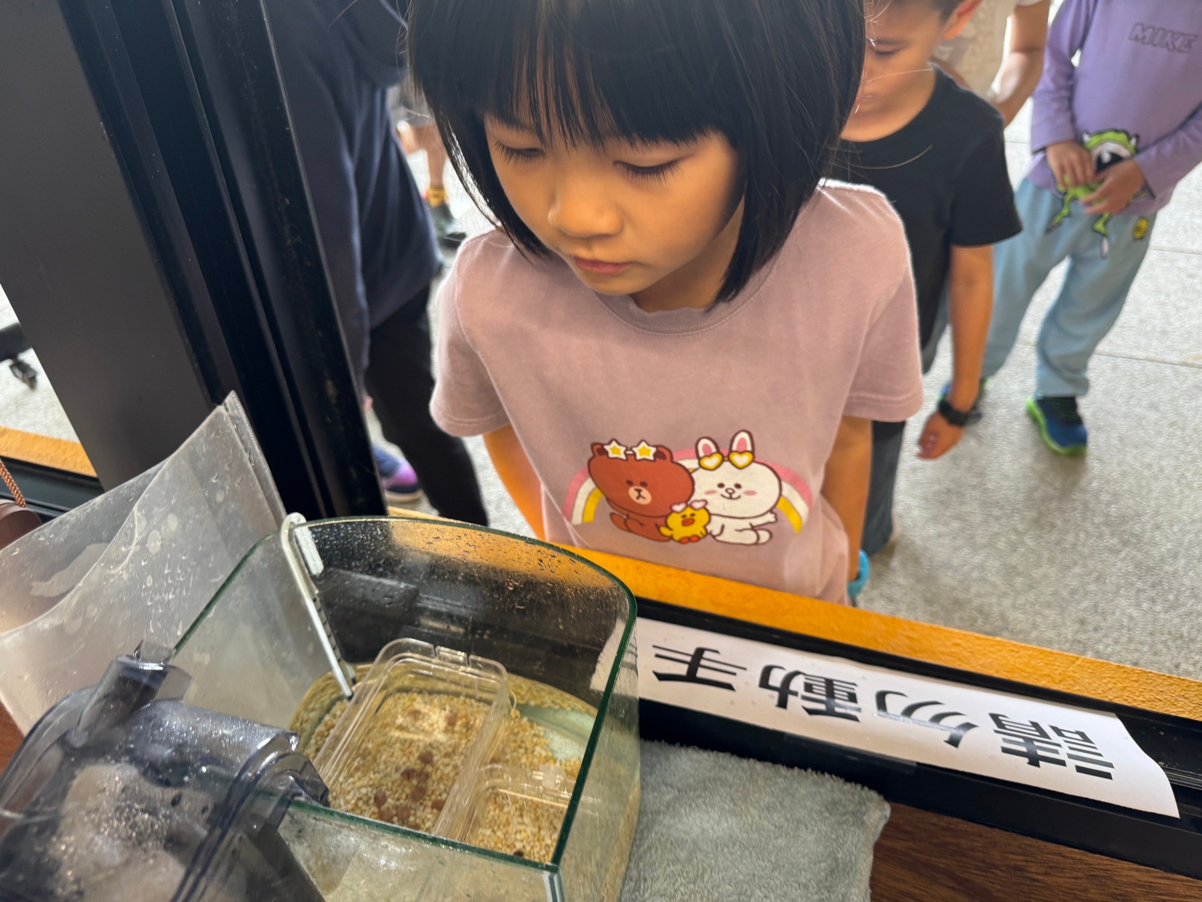 送小鱟回大海