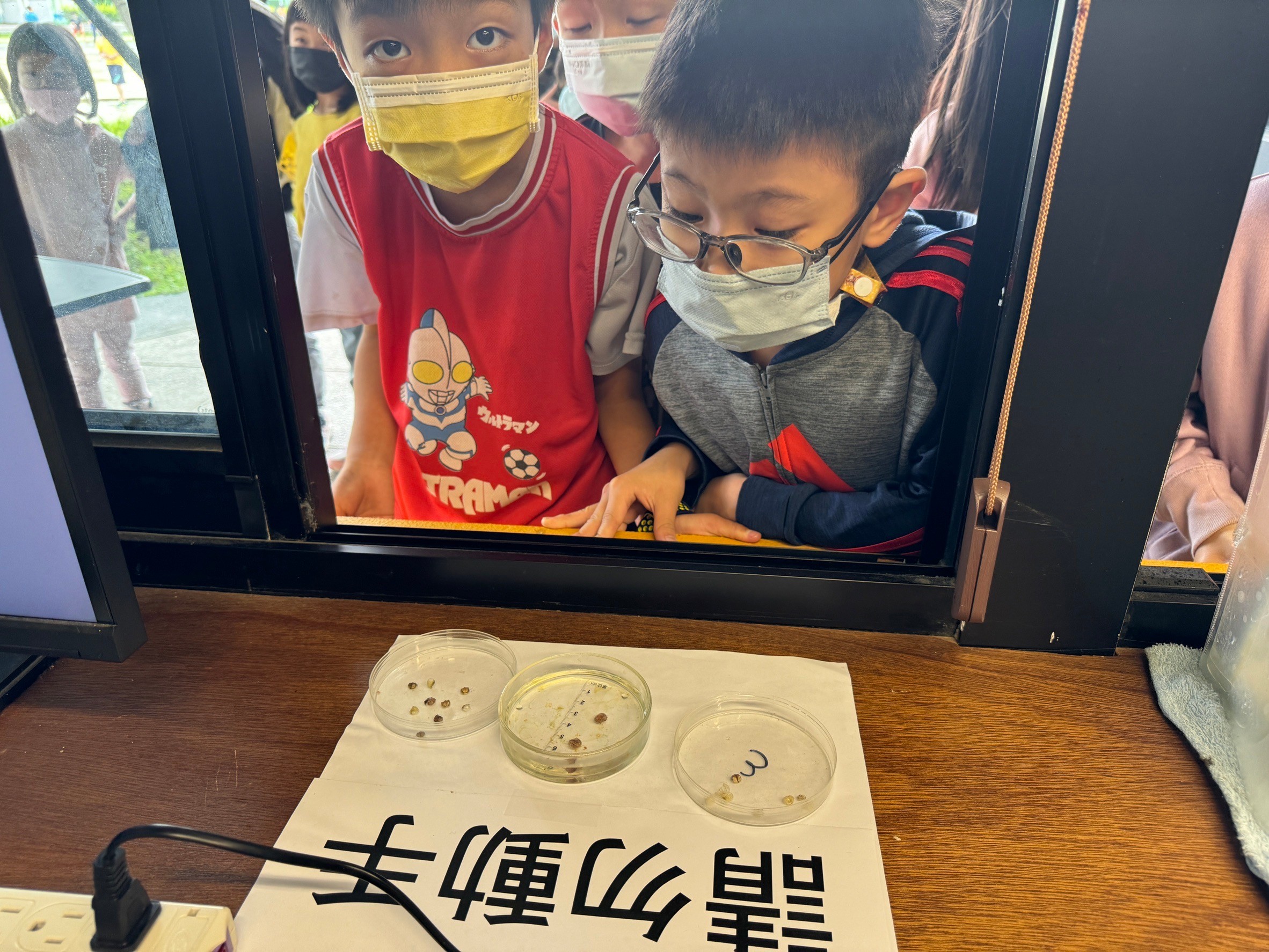 送小鱟回大海