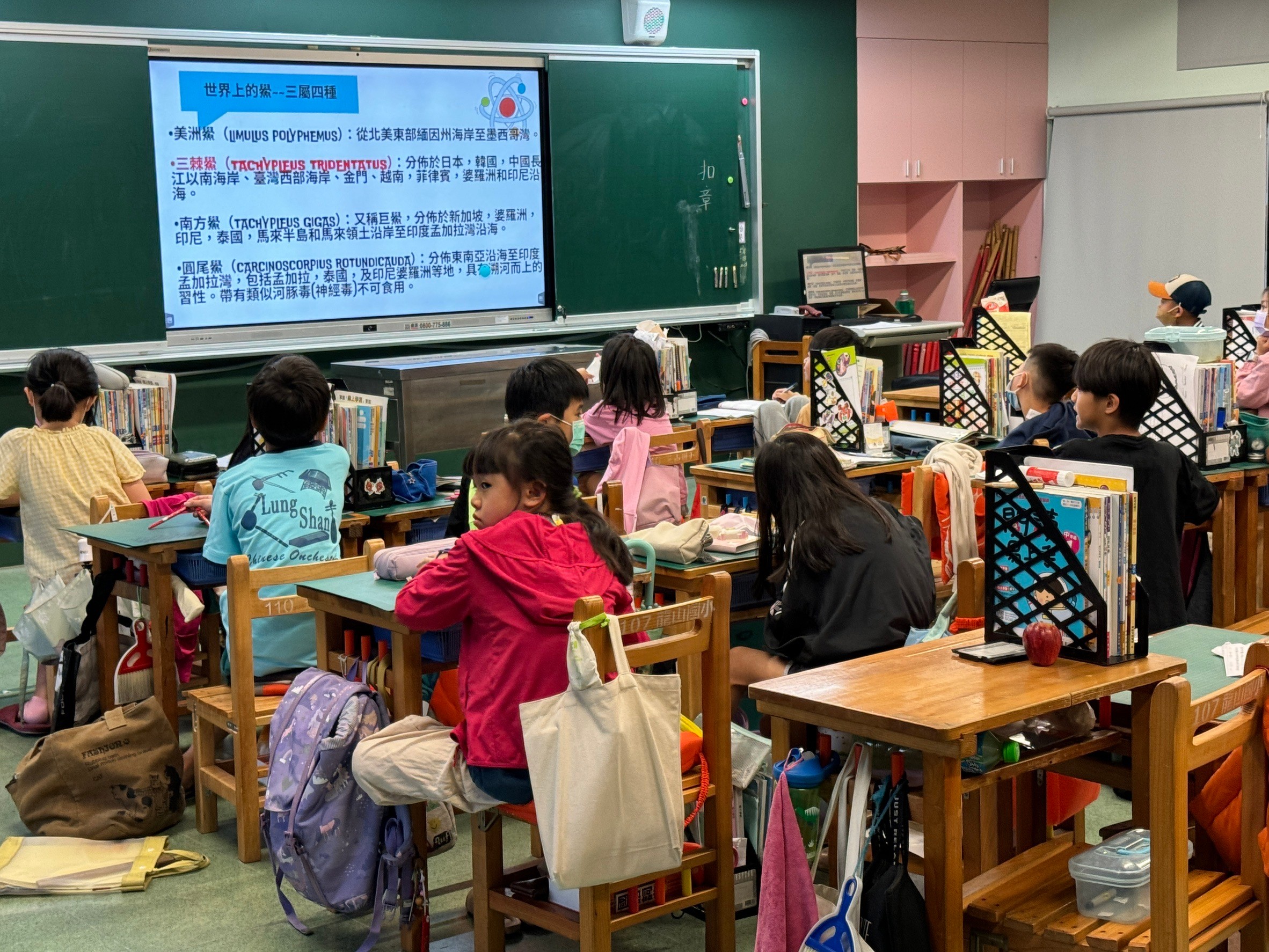 送小鱟回大海