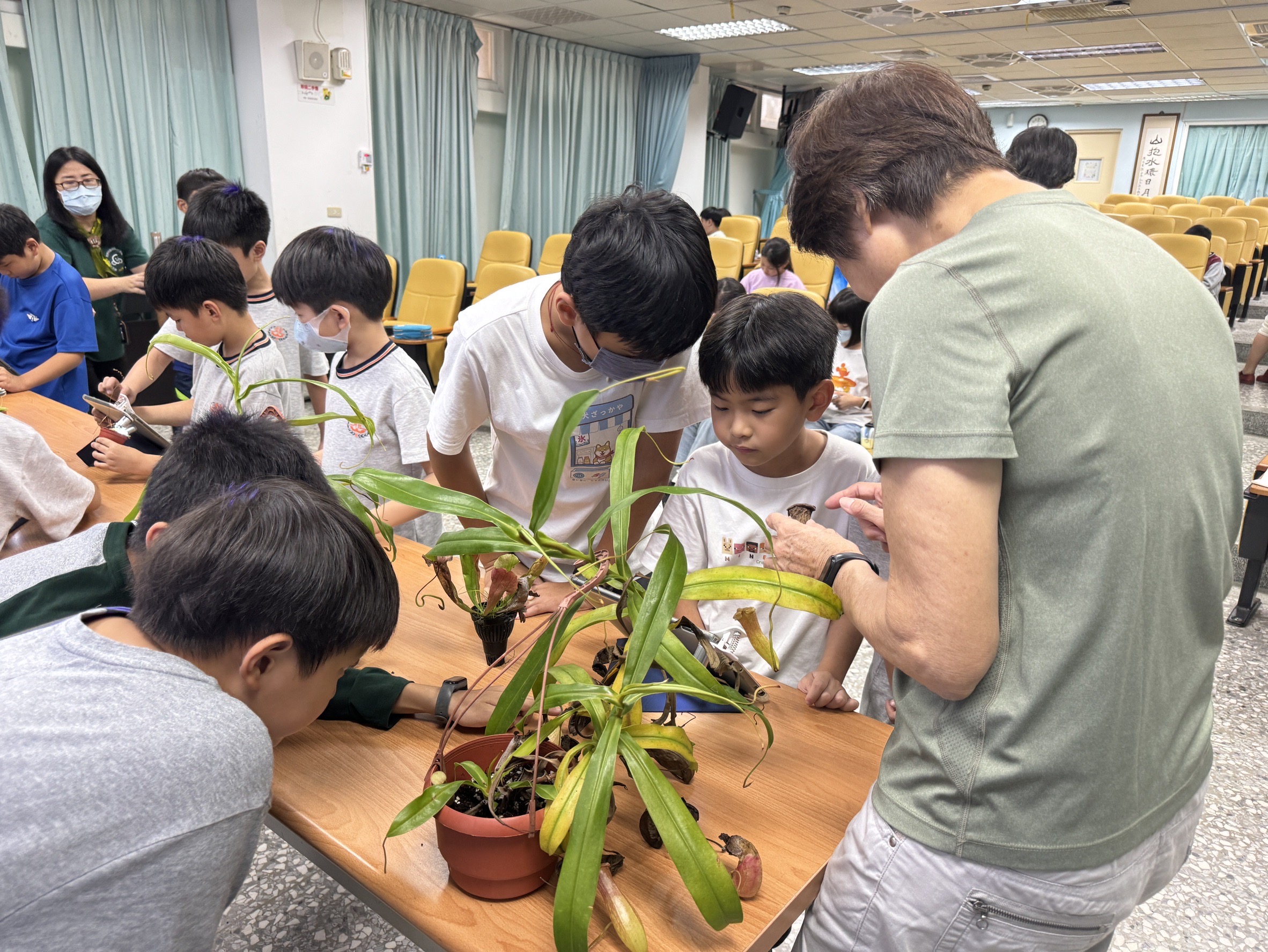 食蟲植物講座